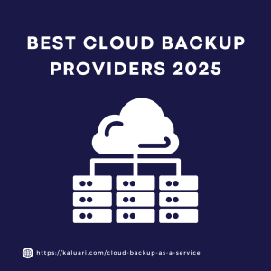 Read more about the article Top-Rated Cloud Backup Providers for SMEs in 2025